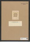 Pseudauliscus nebulosus (Grev.) Rattr. (de-Toni-Nr.: Genus 172, Species 4429) Zeichnungen Sammlung Grunow Nr. 7989 (NHMW-BOT-W0377281)